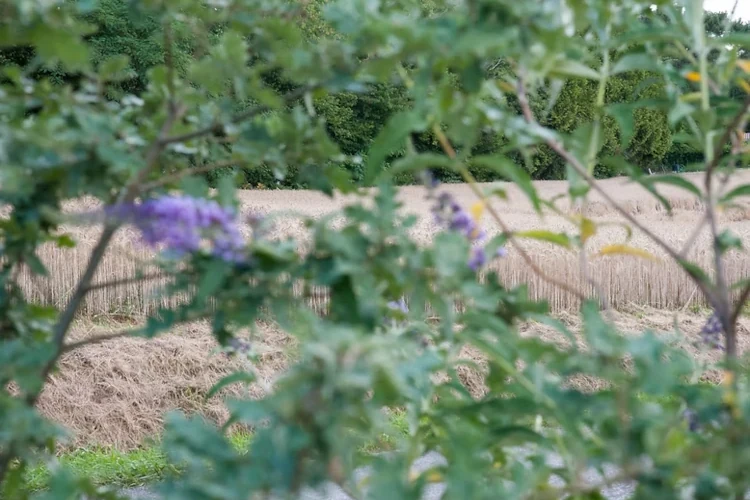 Gîte tout confort en Périgord